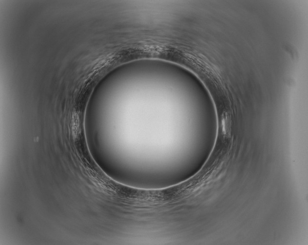 X0000111841347200907231359