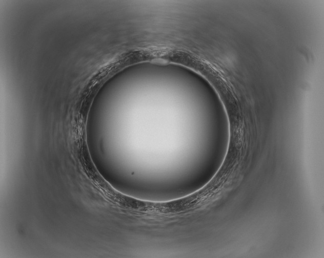 X0000111841349200907231359