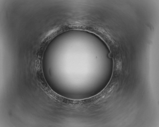 X0000111841350200907231359