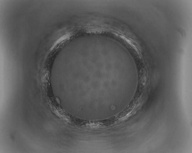 X0000111841351200907231359