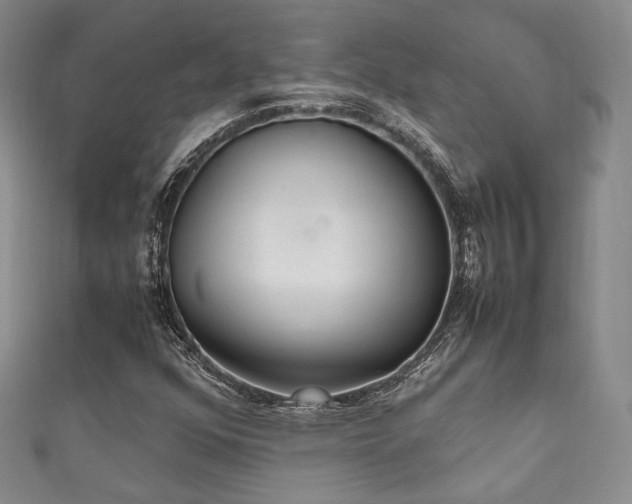 X0000111841352200907231359