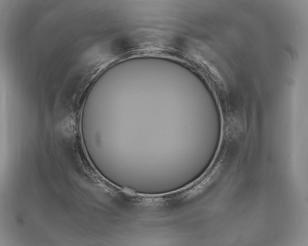 X0000111841353200907231359