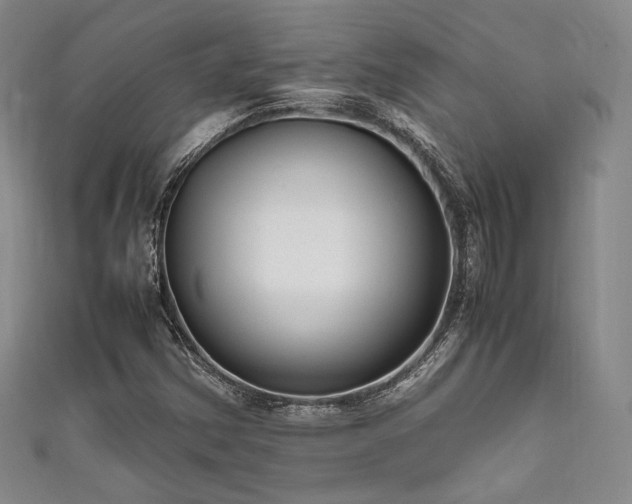 X0000111841354200907231359