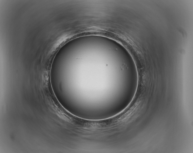 X0000111841355200907231359