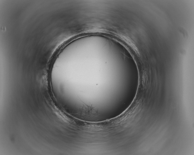 X0000111841356200907231359