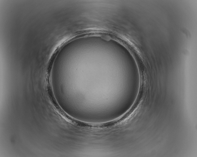 X0000111841357200907231359