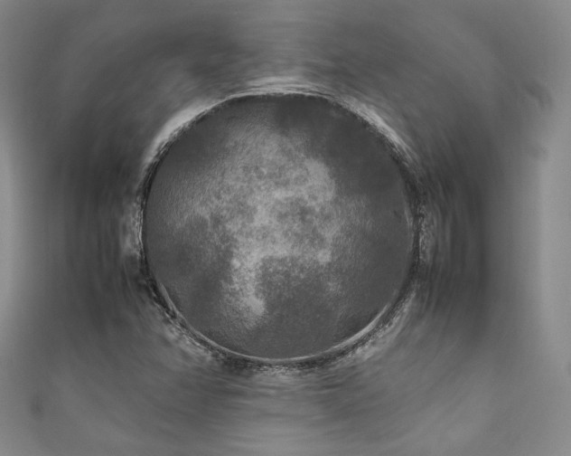 X0000111841358200907231359