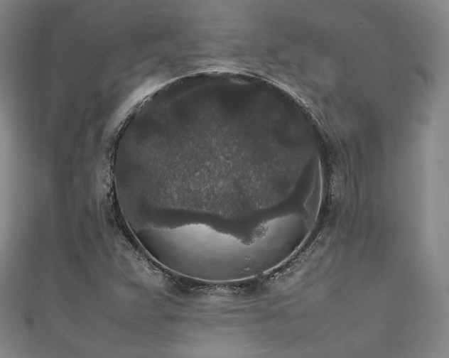 X0000111841359200907231359