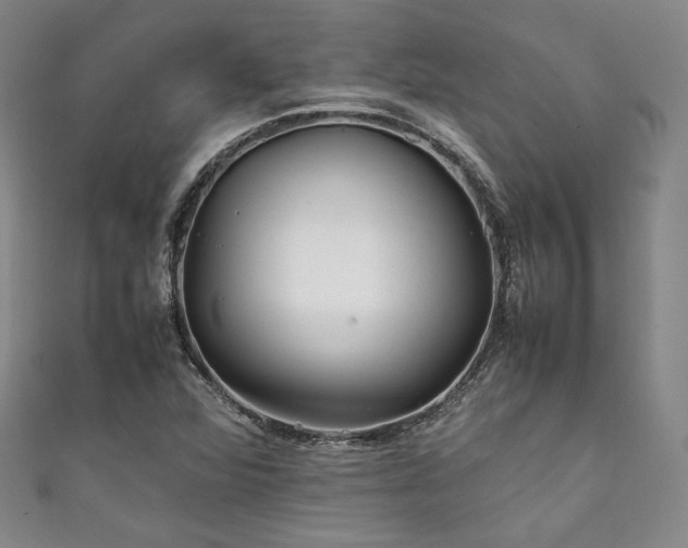 X0000111841360200907231359