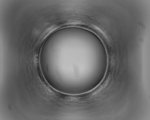 X0000111841361200907231359