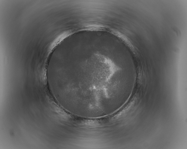 X0000111841362200907231359