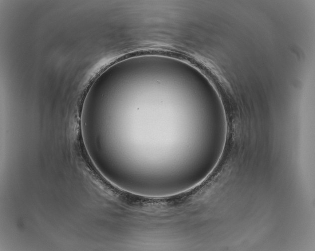 X0000111841363200907231359