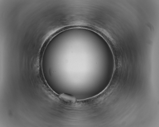 X0000111841364200907231359