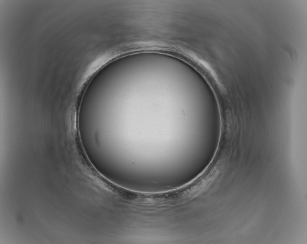 X0000111841365200907231359