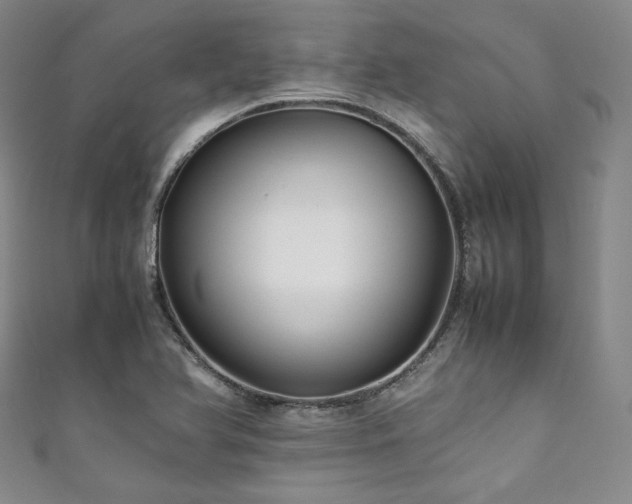 X0000111841366200907231359
