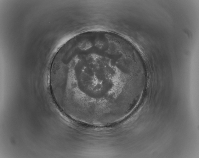 X0000111841367200907231359