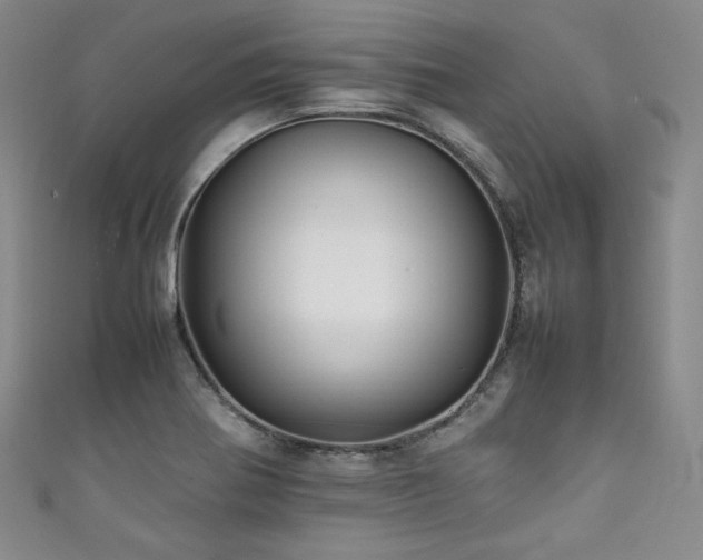 X0000111841370200907231359