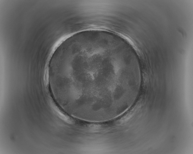 X0000111841371200907231359