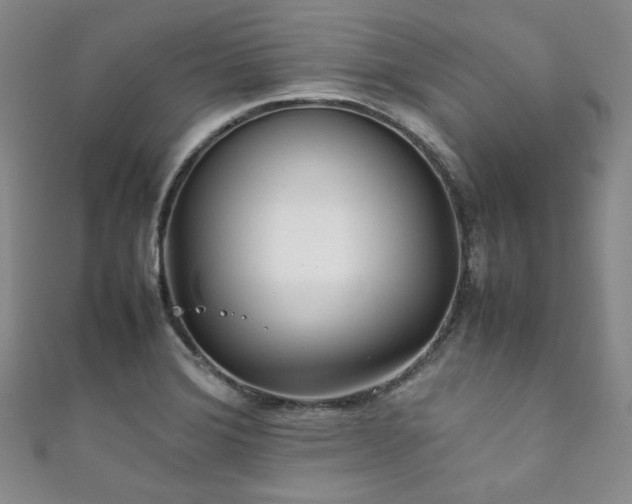 X0000111841372200907231359