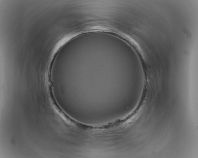 X0000111841373200907231359