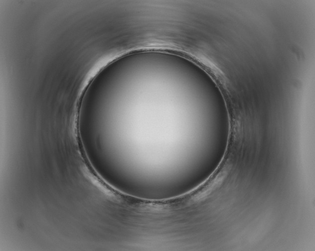 X0000111841374200907231359