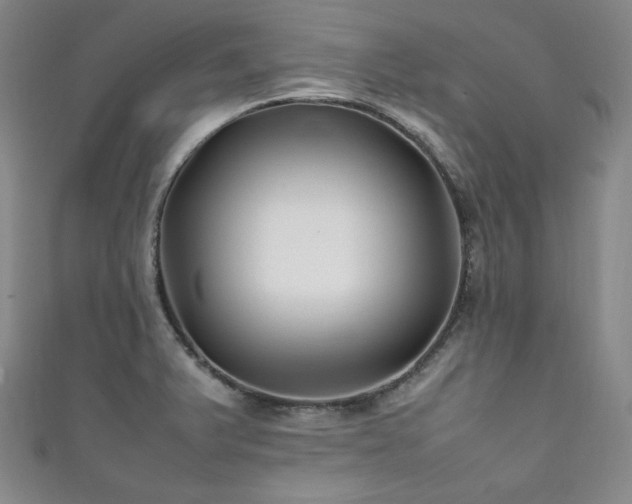 X0000111841375200907231359