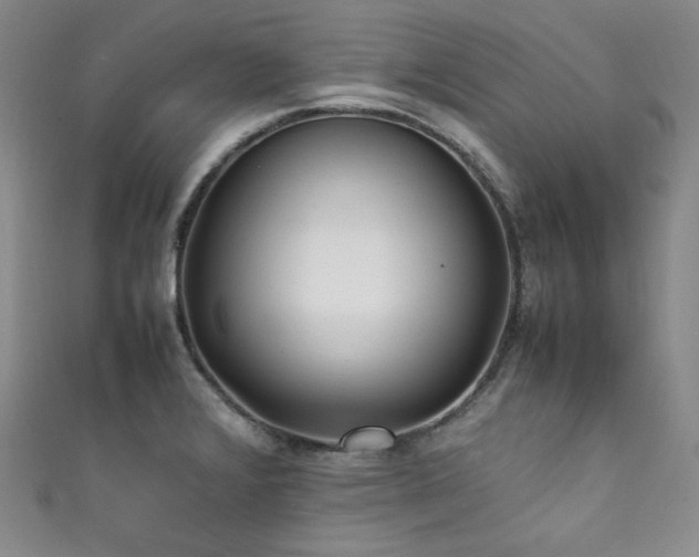 X0000111841376200907231359