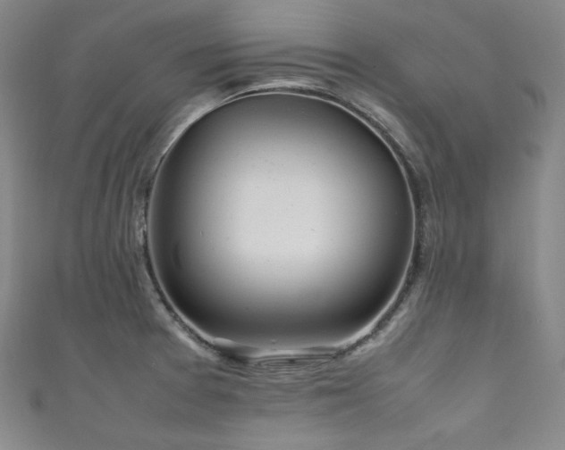 X0000111841377200907231359