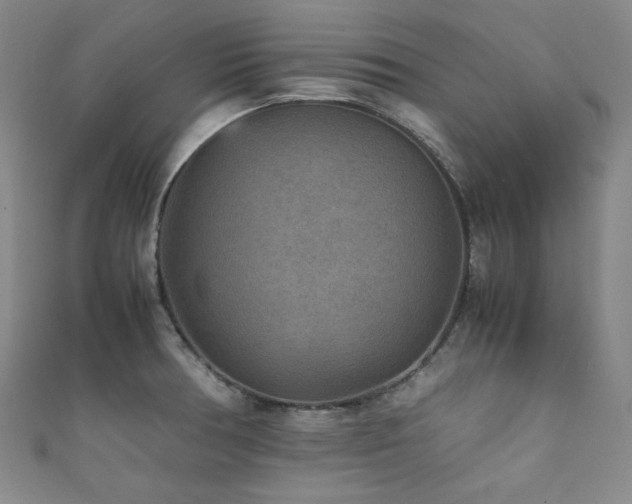 X0000111841378200907231359