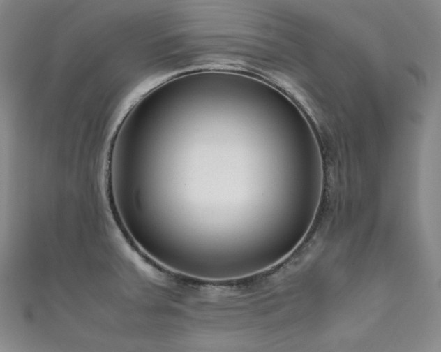 X0000111841379200907231359