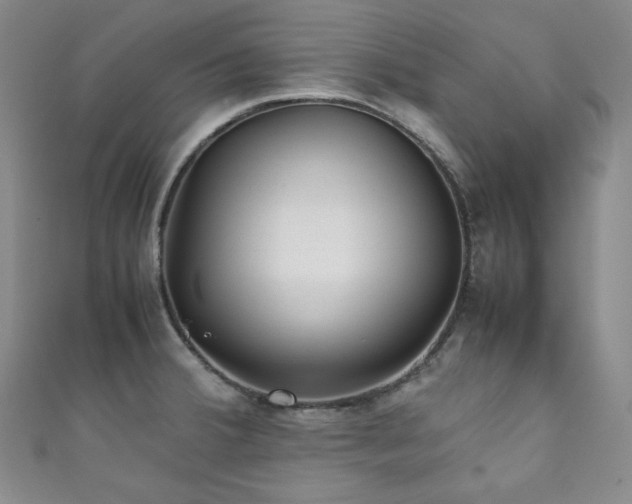 X0000111841380200907231359