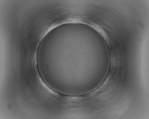 X0000111841382200907231359