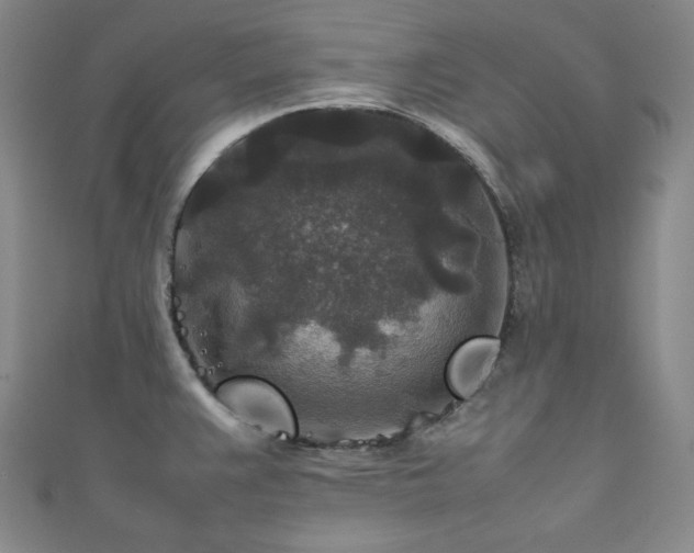 X0000111841383200907231359