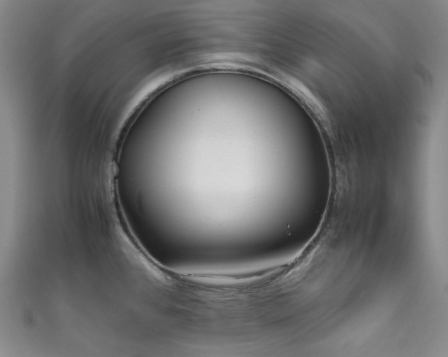 X0000111841384200907231359