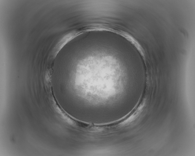 X0000111841385200907231359