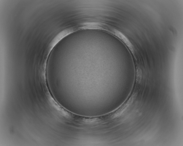 X0000111841386200907231359