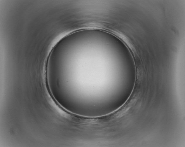 X0000111841387200907231359
