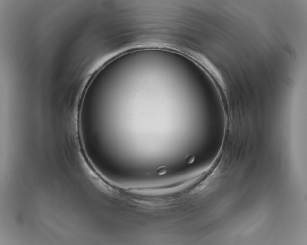 X0000111841388200907231359