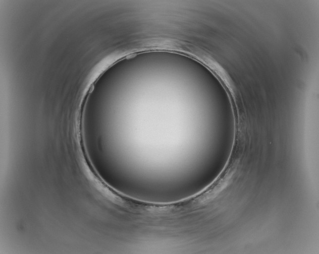 X0000111841389200907231359