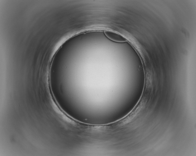 X0000111841390200907231359
