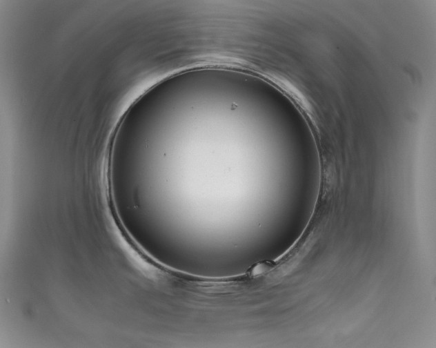 X0000111841391200907231359