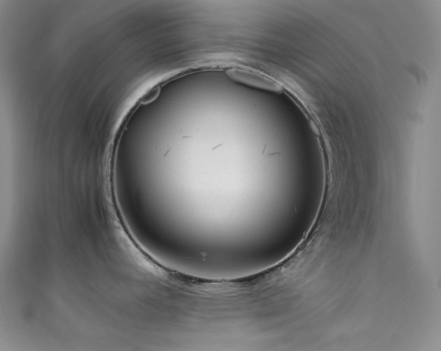 X0000111841392200907231359
