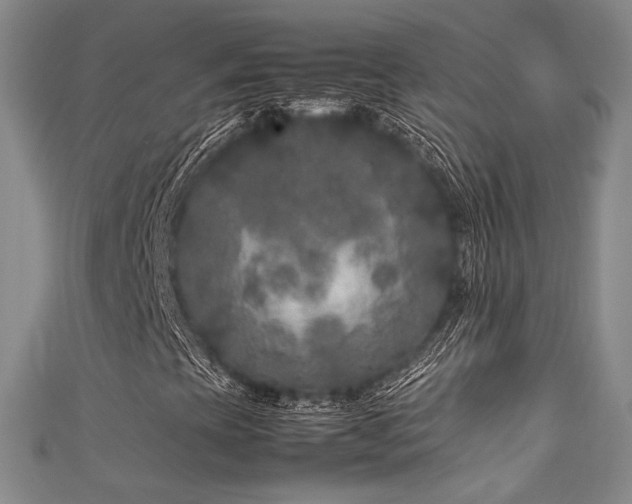 X0000111841393200907231358