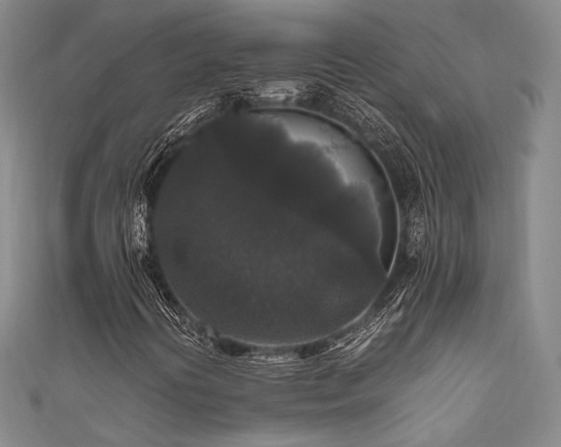 X0000111841394200907231358