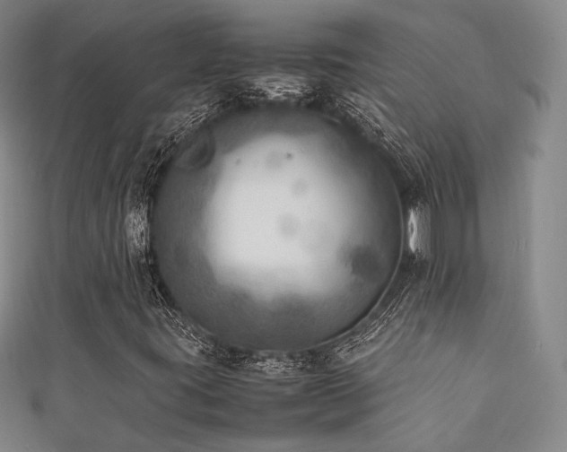 X0000111841395200907231358