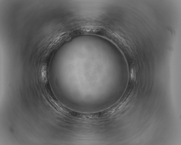 X0000111841396200907231358
