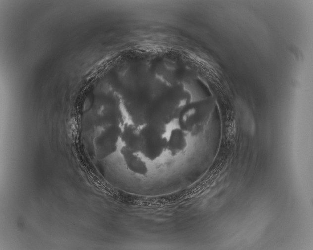 X0000111841397200907231358