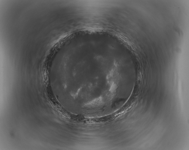 X0000111841398200907231358