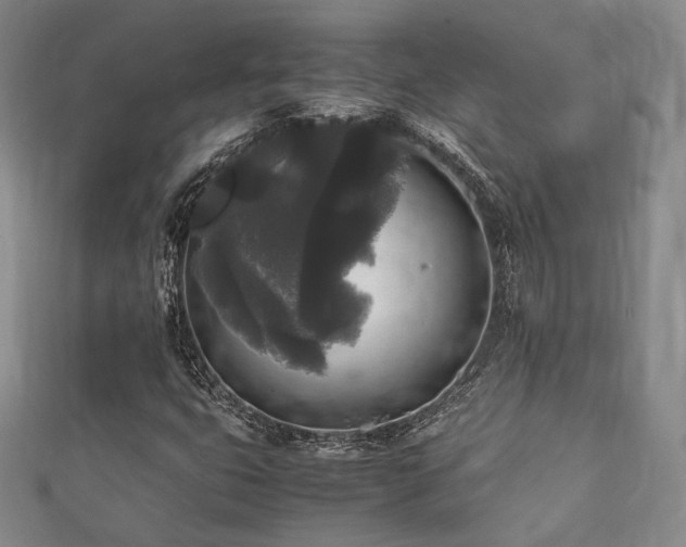X0000111841399200907231358