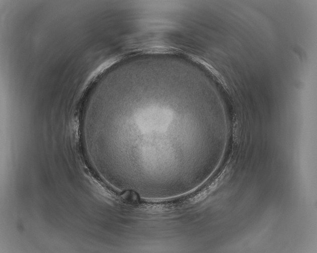 X0000111841402200907231358